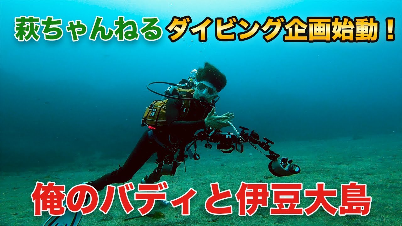 【萩ダイブ】親友と伊豆大島ダイビング満喫