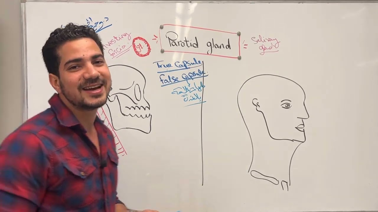 parotid gland 1 (Dr. Wagih El-Husseiny)