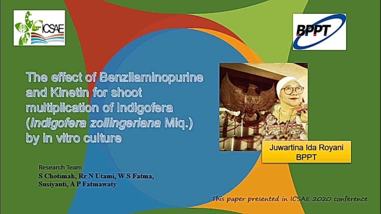 ICSAE ID #78 THE EFFECT OF BENZILAMINOPURINE AND KINETIN FOR SHOOT MULTIPLICATION OF INDIGOFERA ...