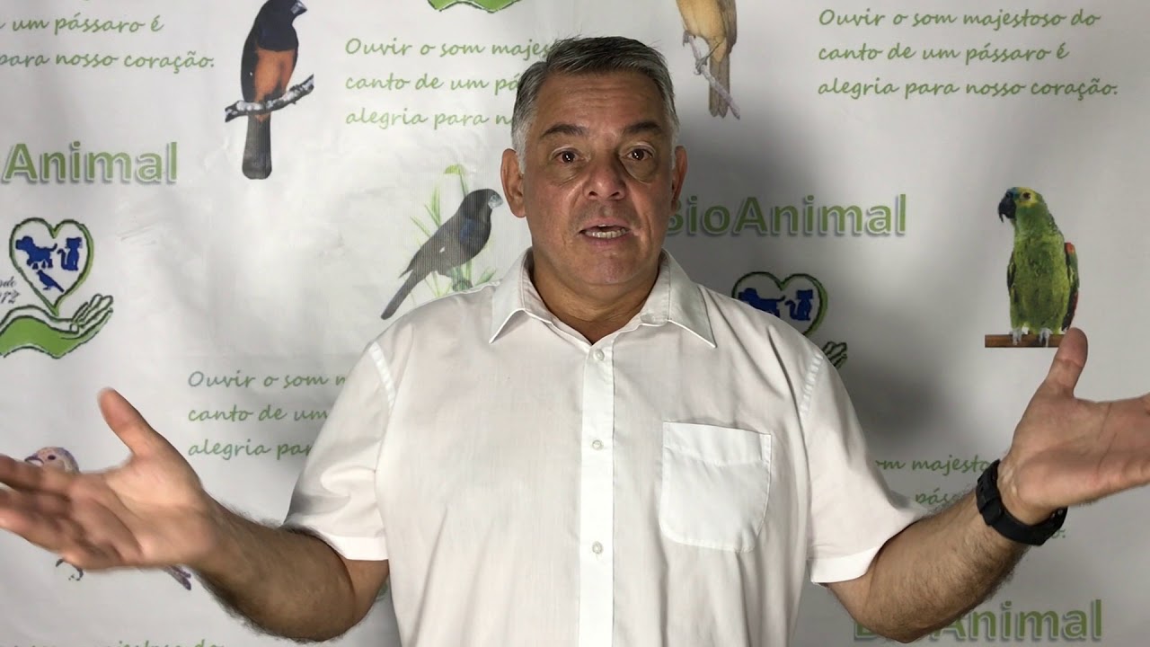 PIVITE O QUE É ? COMO PREVENIR! COMO TRATAR!