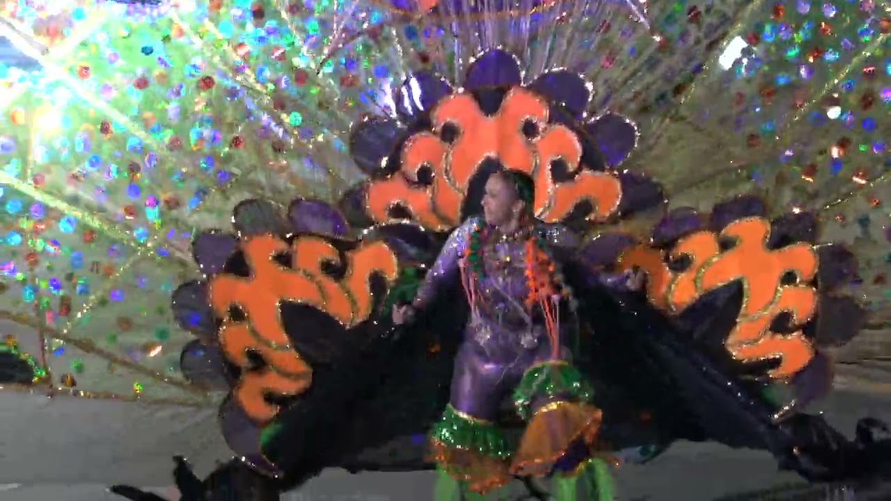 Toronto Caribbean Carnival (Caribana) King & Queen Showcase 2025 - Parade of Female individuals