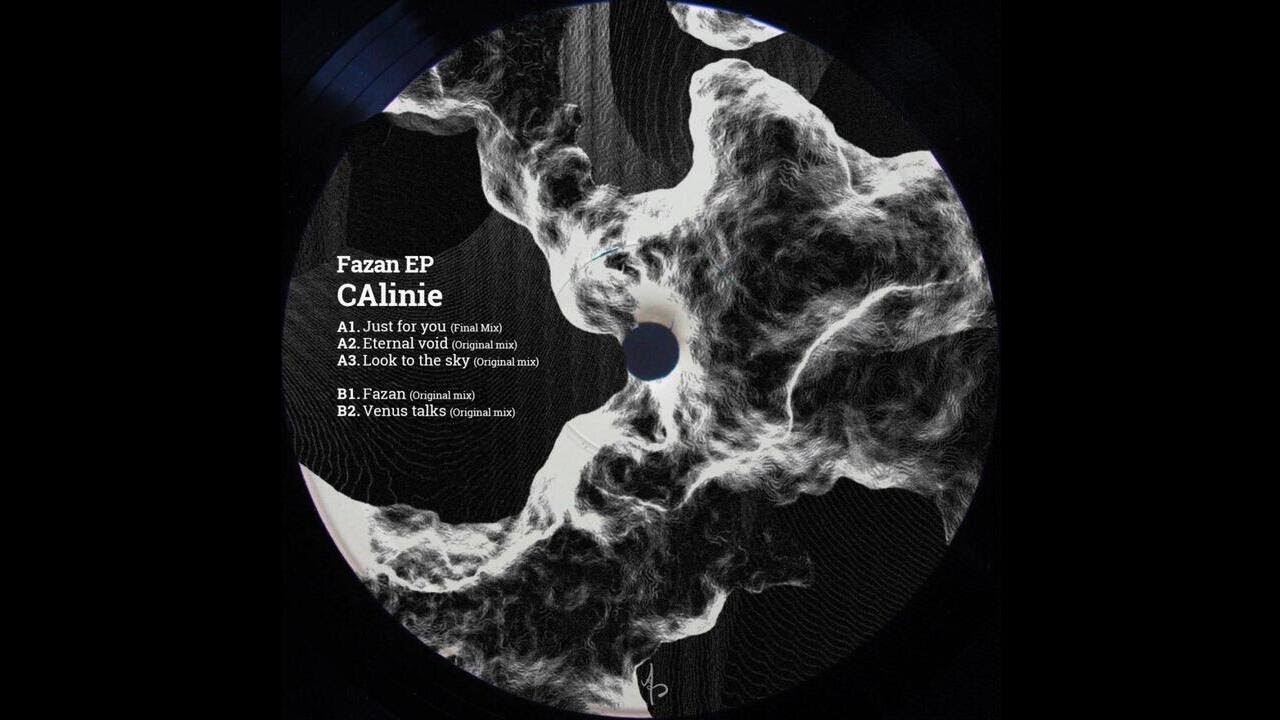 CAlinie - Look to the sky (Original mix)