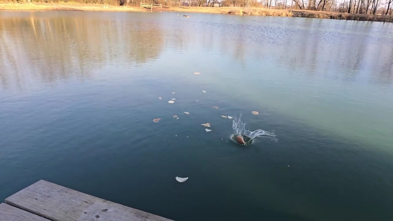 Coaxing the Canadian Geese | NO ADS | AMBIENT MUSIC