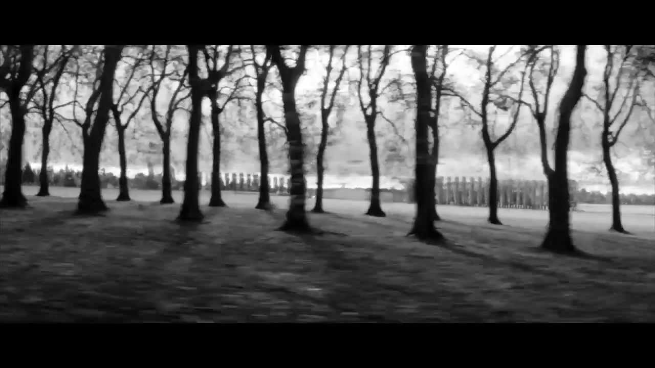 L'hiver de Jacques Bertin