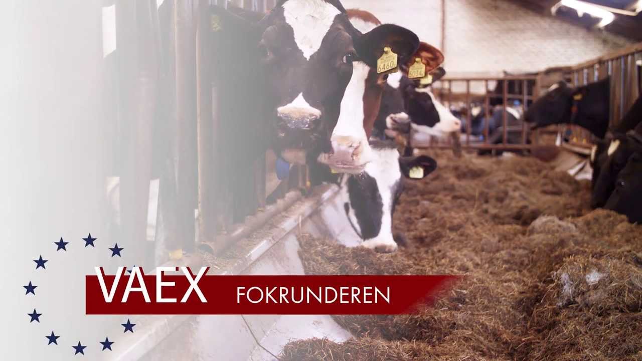 Fokrunderen | VAEX Varkens- en Veehandel B.V.