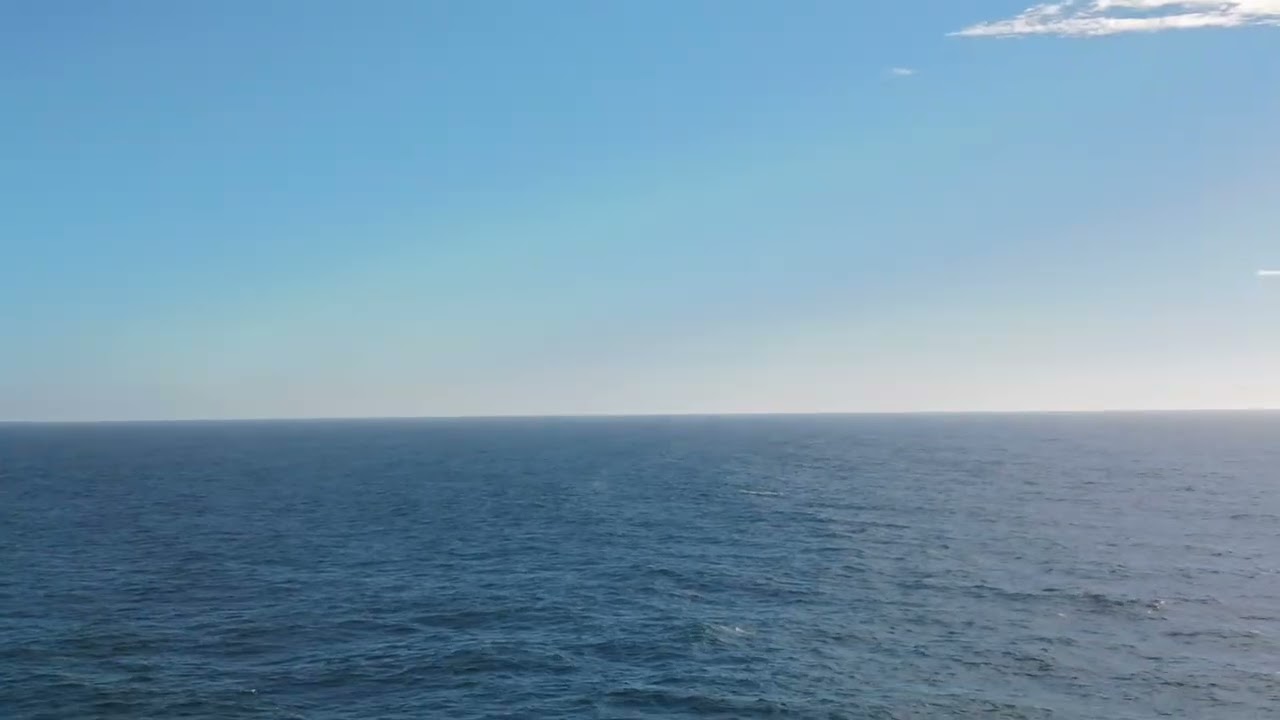 Our very own Whale on our Alaska Cruise