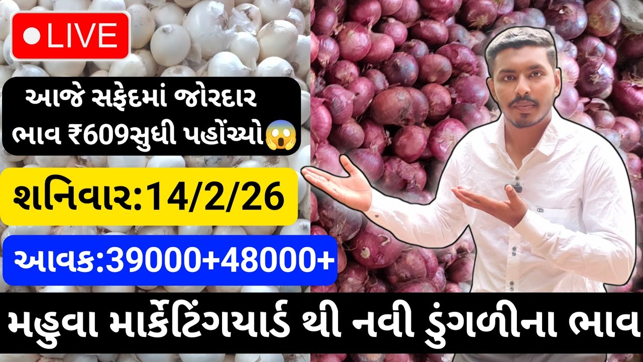 મહુવા થી લાલ અને સફેદડુંગળીના ભાવ🔥|14/2/26 | White & Red Onion Market Rate Today💸| लाल ओर सफेद भाव🧅