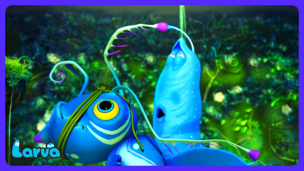 Larva - אדום וצהוב הופכים לאווטאר | WildBrain יְלָדִים | WildBrain יְלָדִים