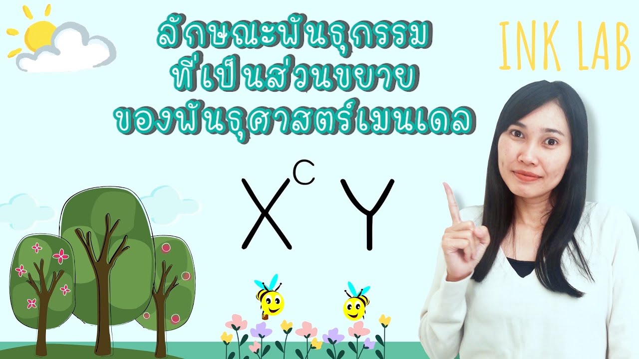 🧬การถ่ายทอดลักษณะทางพันธุกรรม 4 : ลักษณะทางพันธุกรรมที่เป็นส่วนขยายของพันธุศาสตร์เมนเดล [Biology#7]
