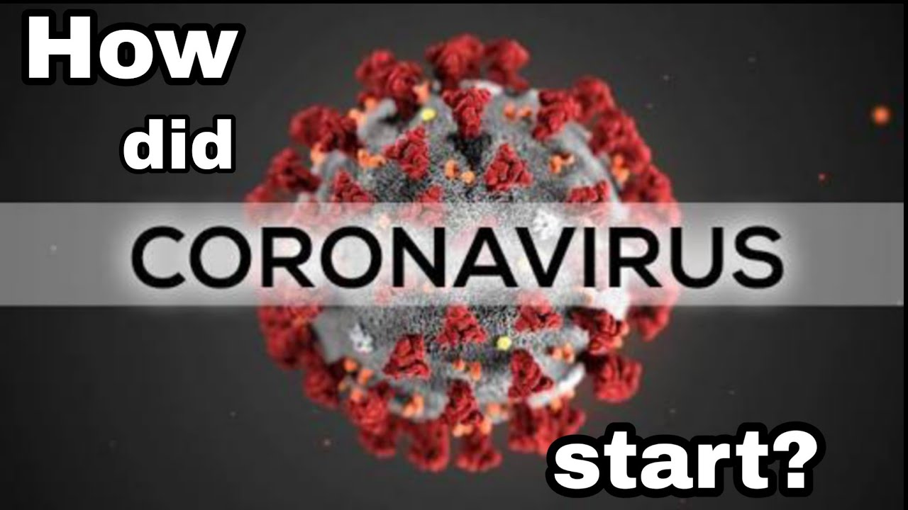 How did corona virus start?
