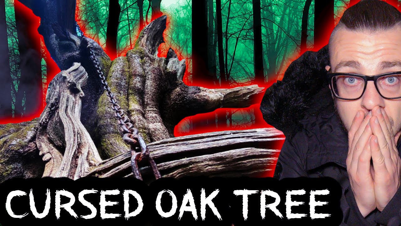 The Scary Haunted Cursed Chained Oak Tree (Alton Towers)