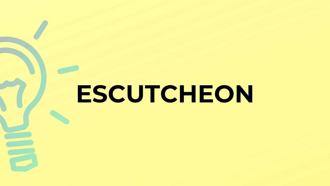 What is the meaning of the word ESCUTCHEON?