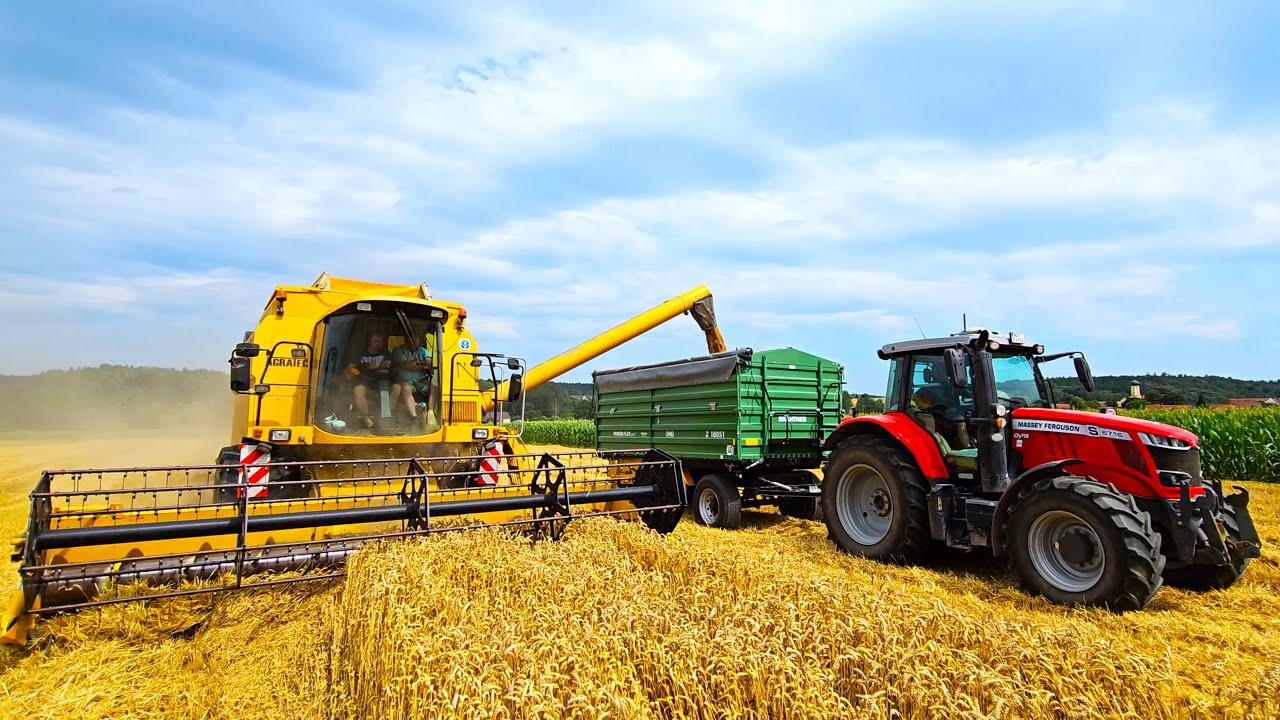 New Holland TF 76 AgraTech mit MF 6116 S Dyna VT & Power Flex plus Kipper bei Weizenernte 2023!