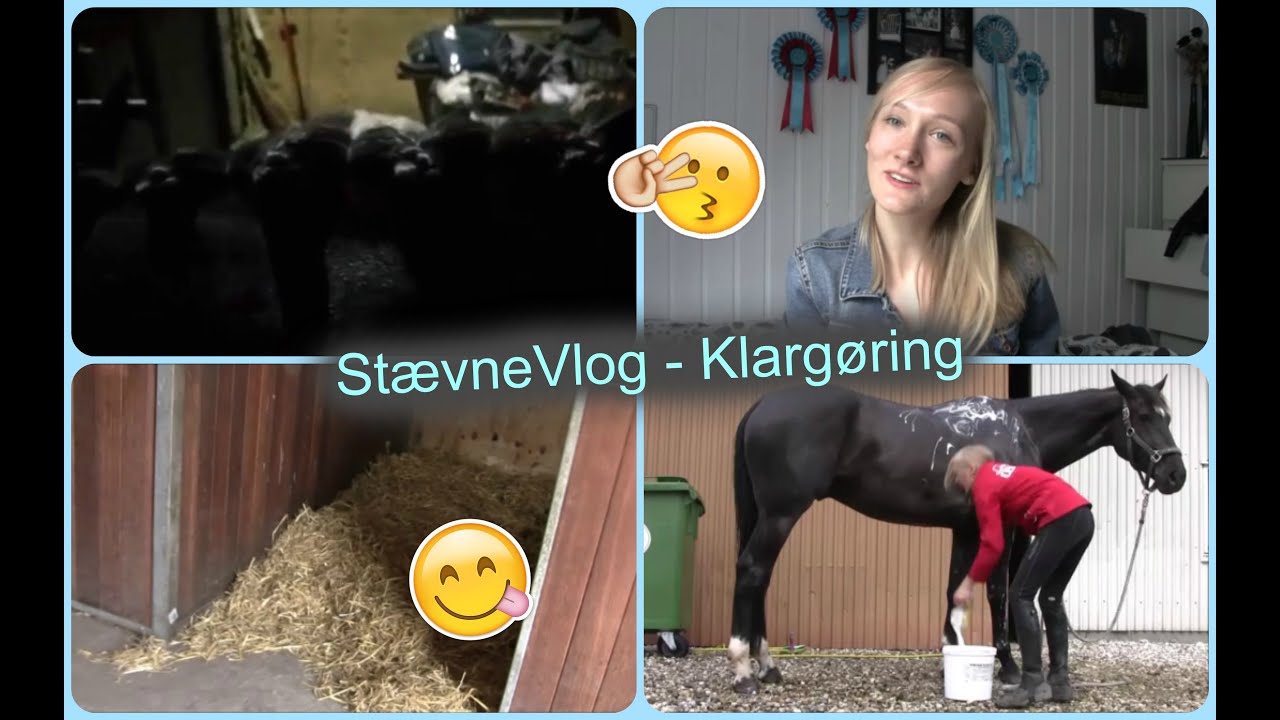 DAGEN FØR ET STÆVNE - VLOG