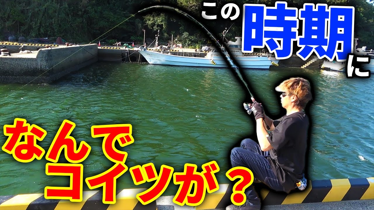 激荒れの離島遠征1泊2日の釣果がもの凄かった！！