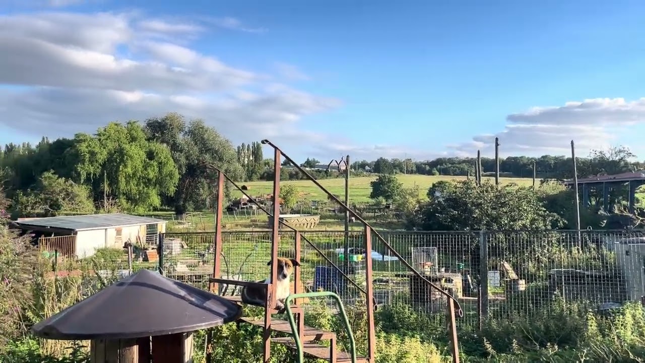 USA Land