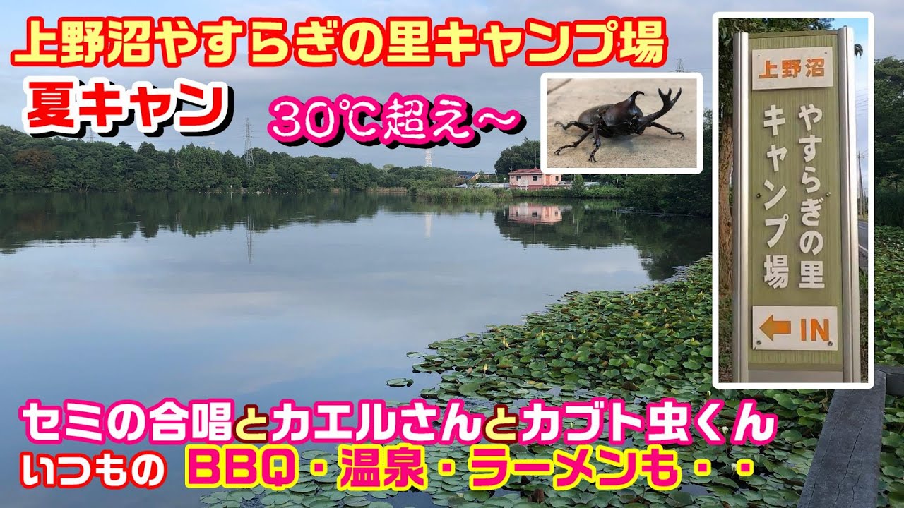 茨城県 上野沼やすらぎの里キャンプ場 夏キャンプは木陰だ！