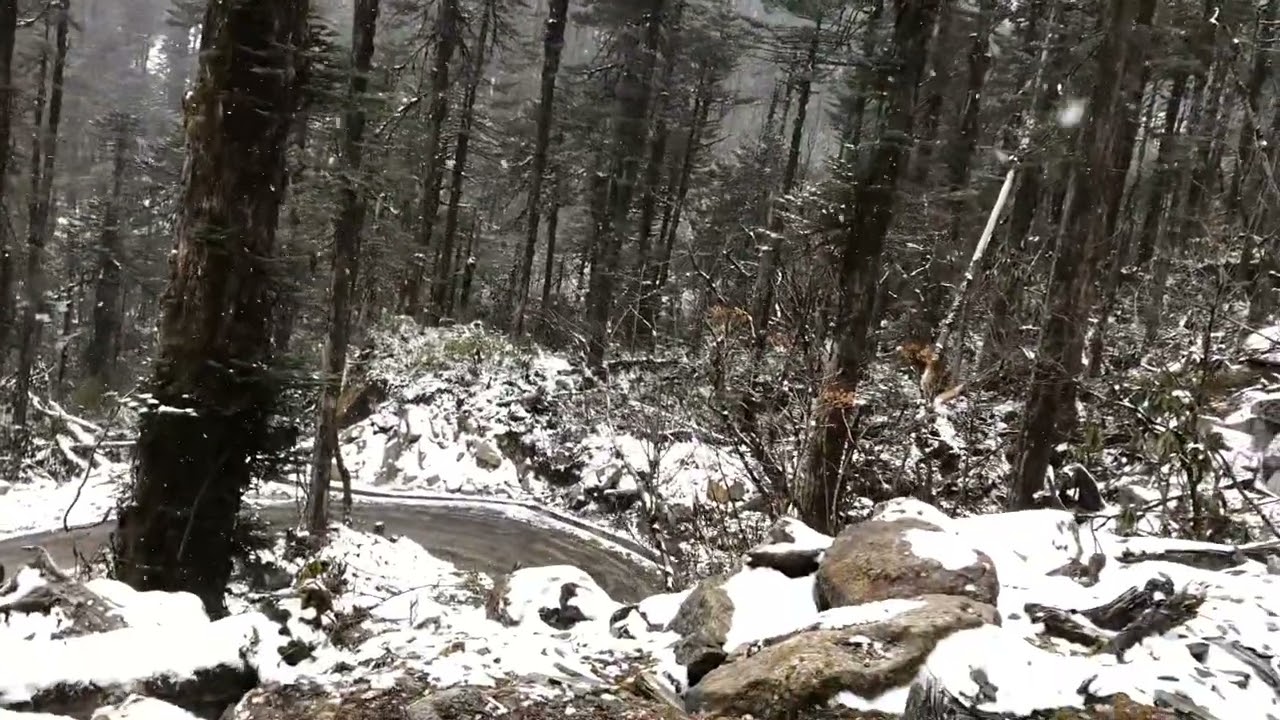 Snowfall in Mechuka, Arunachal Pradesh