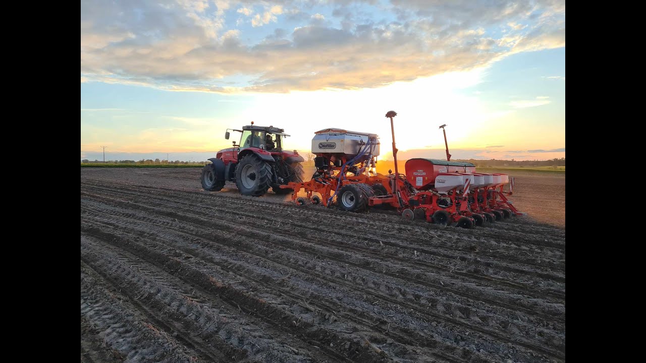 Pasowy Siew Kukurydzy 2024 na Opolszczyźnie ☆ NoTiller Multi 3000DH ☆ Massey Ferguson 8450 ☆Gaspardo