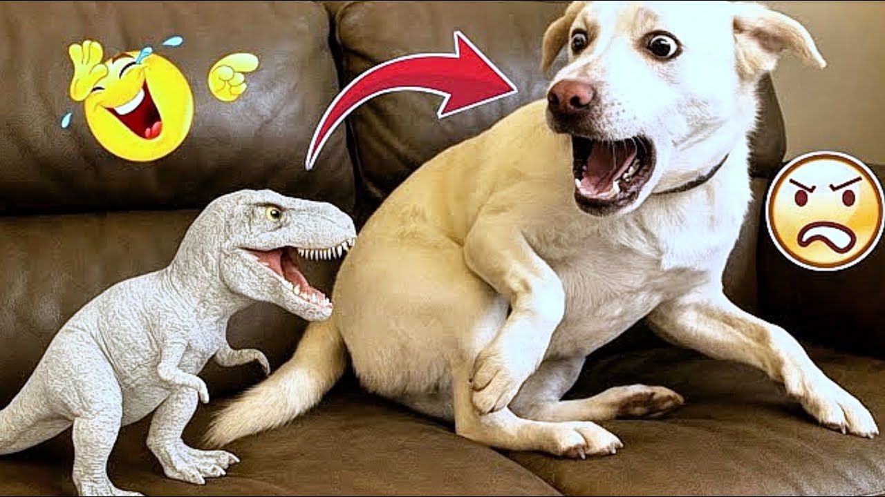 AI Cats and Dogs Collection, 2025#funnypets #funnycats #funnydogs #ai