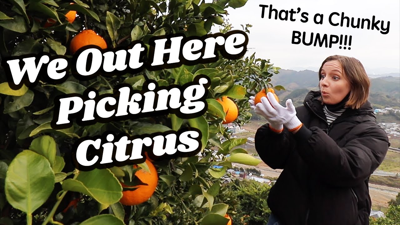 Gettin' back 2 nature in the Japanese Countryside 🌱🍊