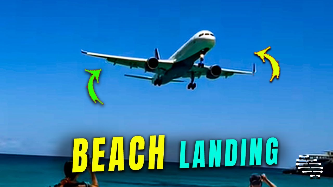 Airlines Plane Landing Close to Beach Goers