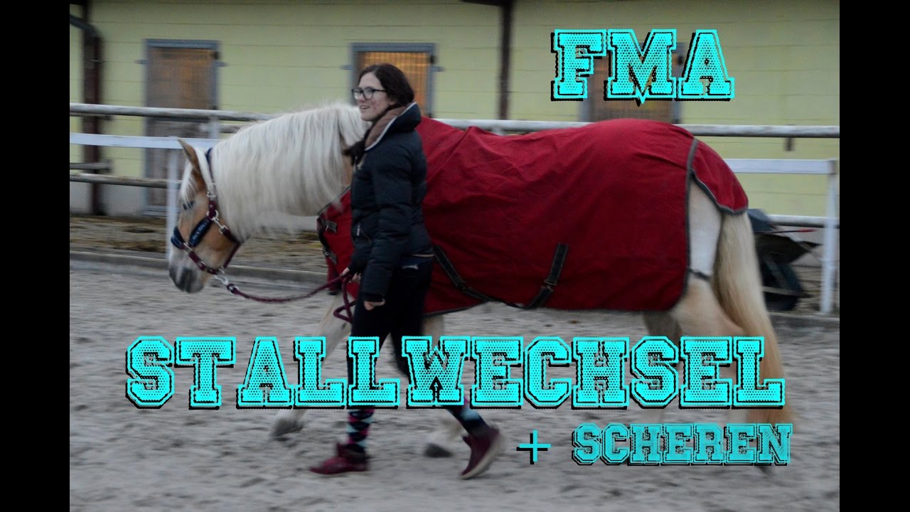 FMA - Stallwechsel (+ Scheren)