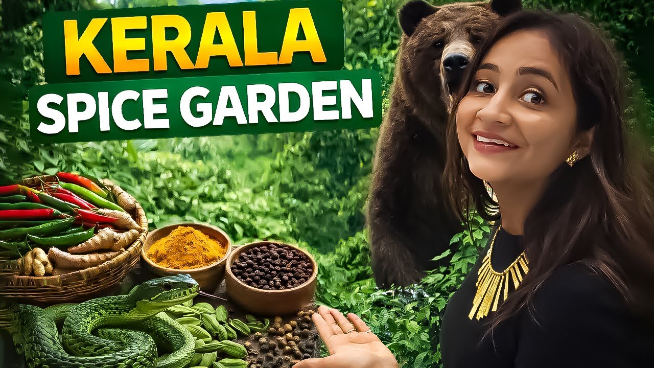 Kerala Munnar Spices Garden 🌿 | Real Masala Farming | Budget Travel Vlog | Munnar tourist Places