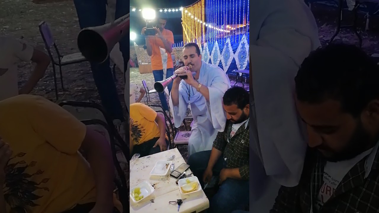 #اسمع المسيقار الريس هانى عابد من ألمع النجوم الفنيه