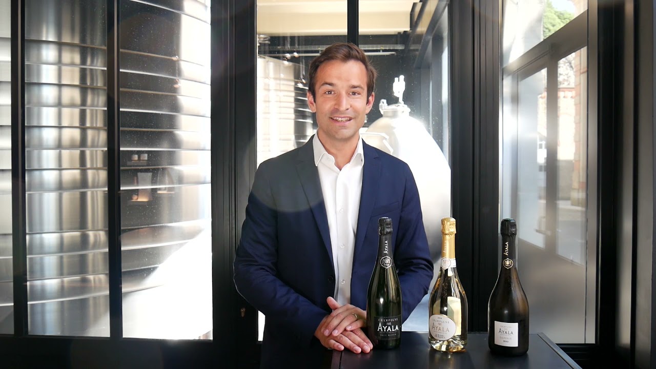 Champagne AYALA: Portfolio Tasting Welcome