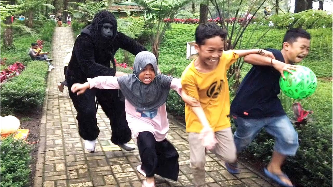 Gorilla and Bushman prank super funny..!! Tertawa sampai lemas