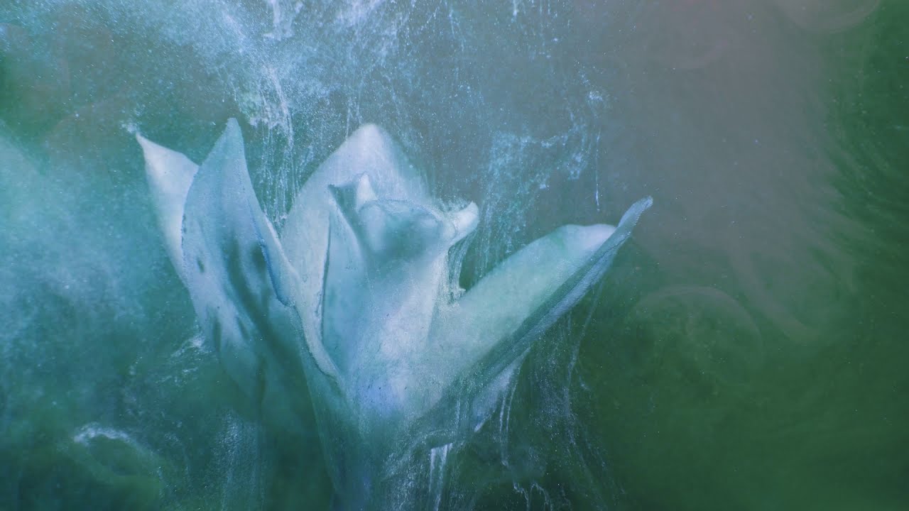 Hugo Lucas - Vert Naissant : Part I