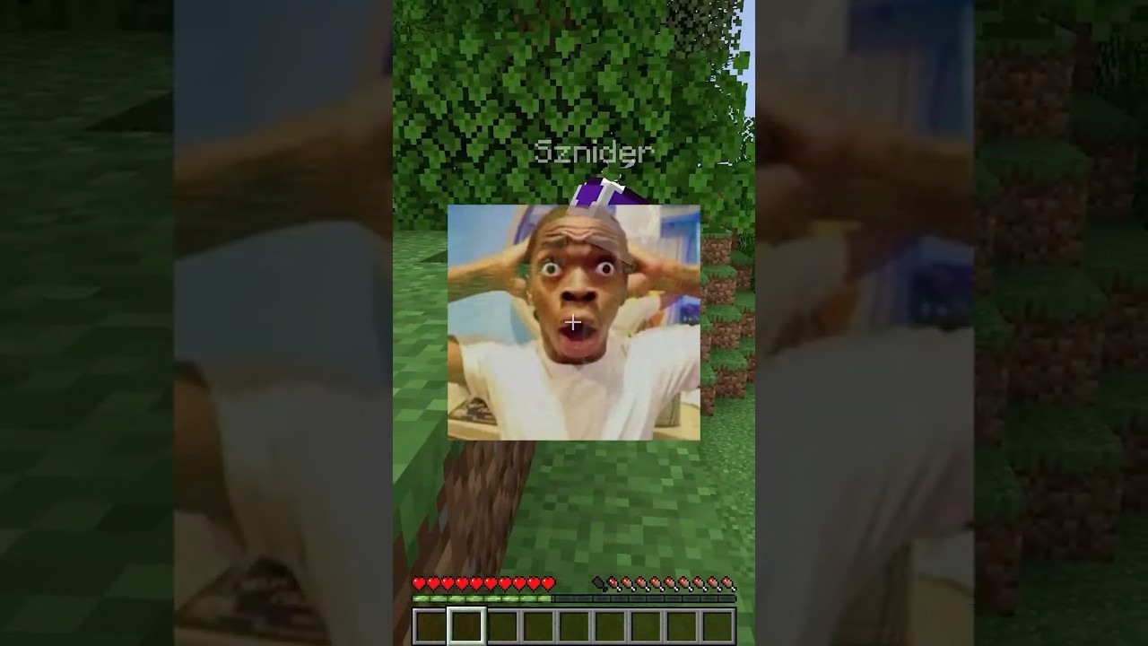 MINECRAFT ALE M&Oacute;J KOLEGA NIE UMIE GRAĆ #anarchiagg #minecraft #anarchiasmp #mc #minecraftserver