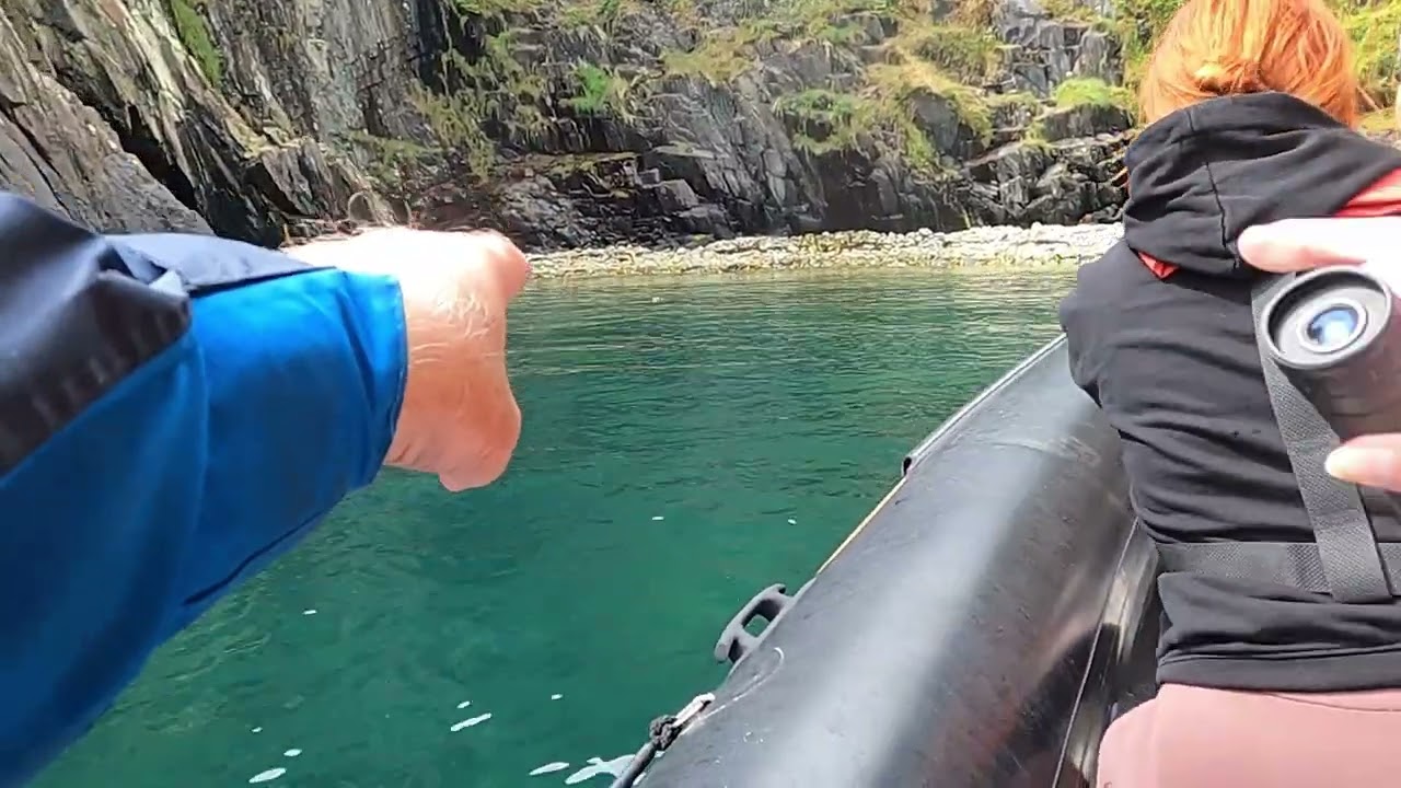Ramsey Island Boat Trip 2023