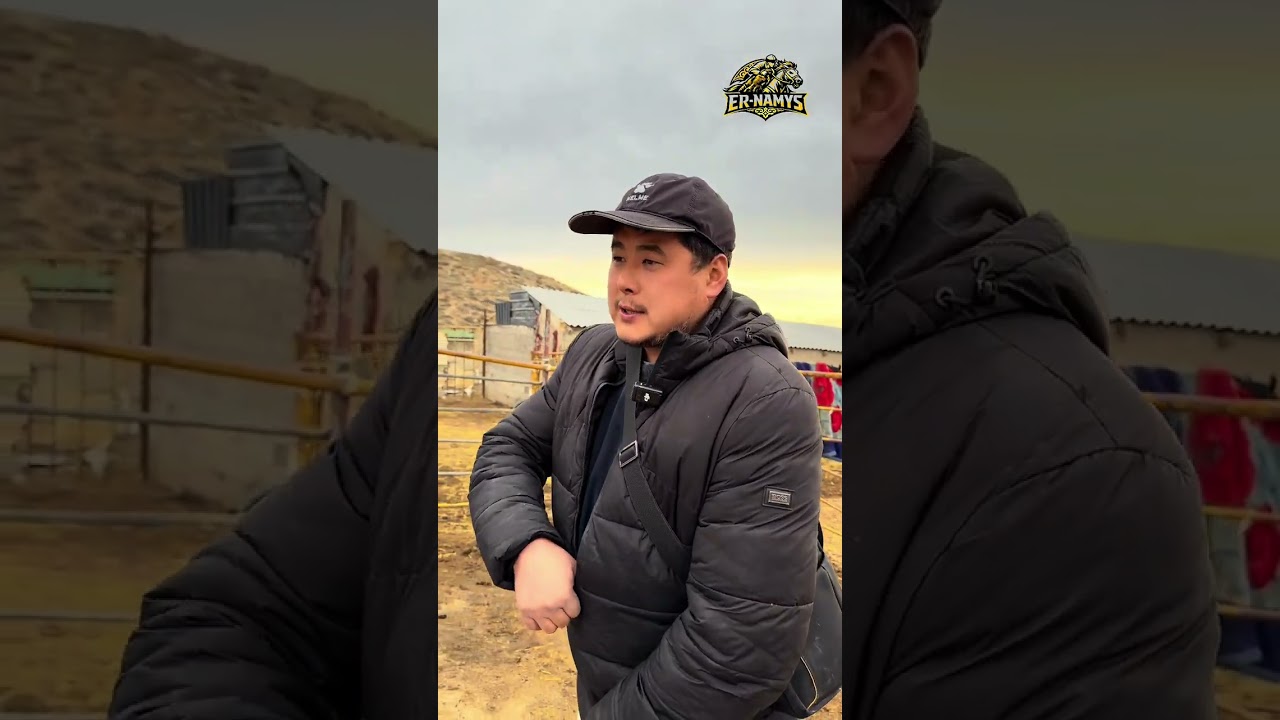 Эрнамыс команданын аргымактары