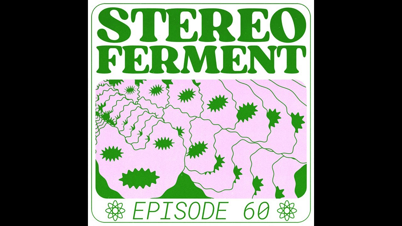 GLOBAL DISCO SPECIAL | feat Dacou | Stereo Ferment
