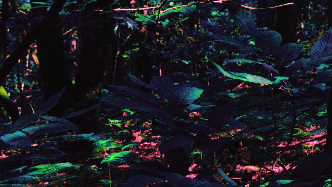 augustin goupy - apprendre à aimer