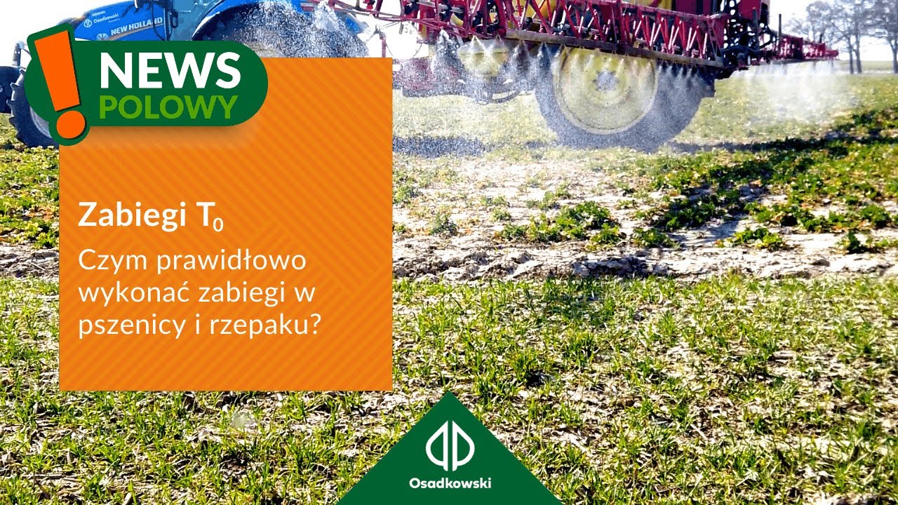 🚜 | Zabieg T0 w pszenicy i rzepaku wiosną | 𝗡𝗘𝗪𝗦 𝗣𝗢𝗟𝗢𝗪𝗬