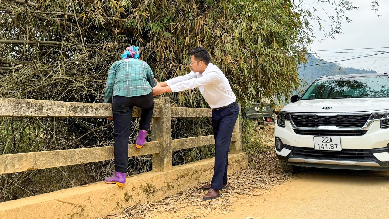 CEO David Saves a Desperate Woman – What Will Happen To Her Fate? | Ly Tu Uyen