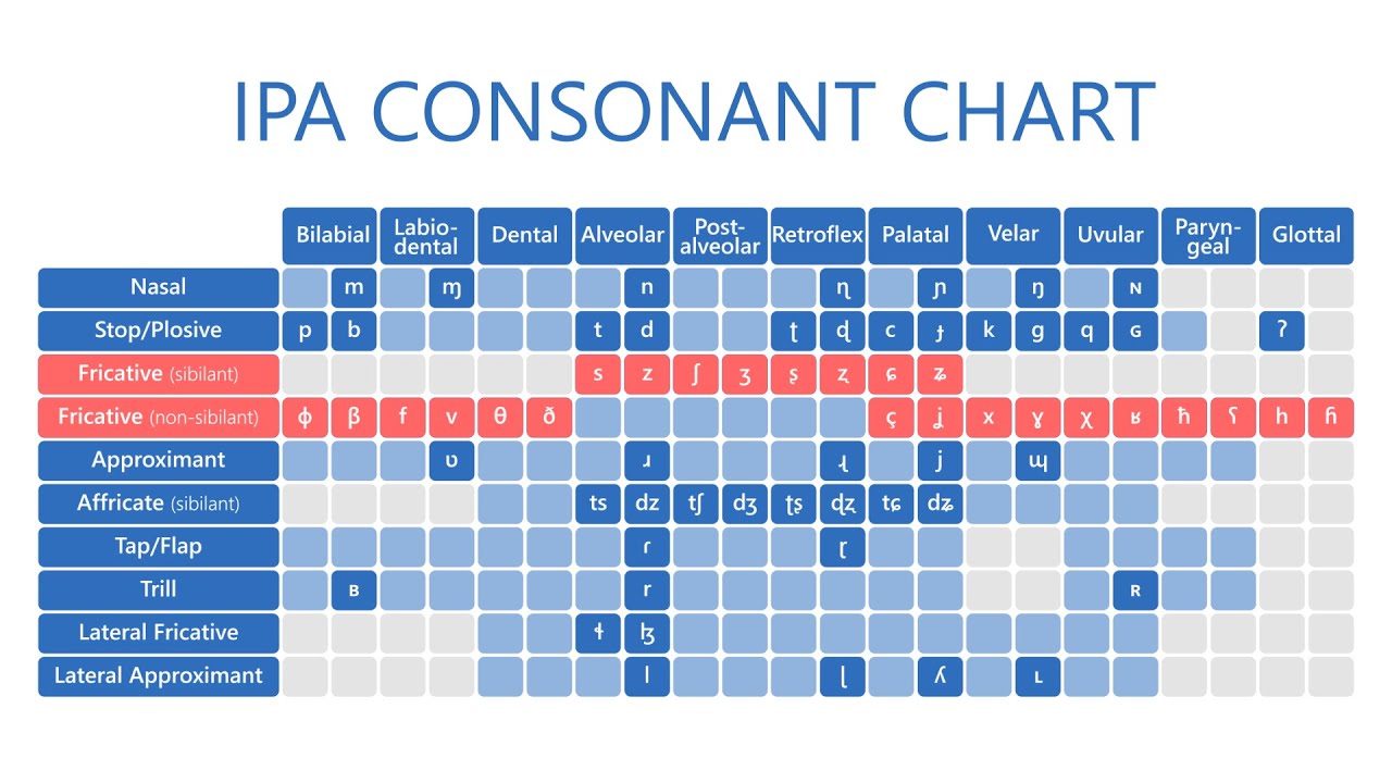 Таблица согласных звуков МФА - IPA consonant chart