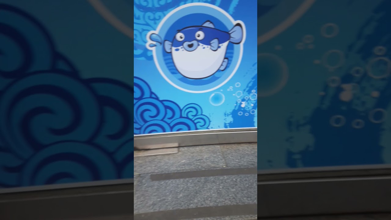 이종윤플란체는플란체를하지만한동완이파쿠르를해서이종윤플란체도어쩔수없이파쿠르를했다^^