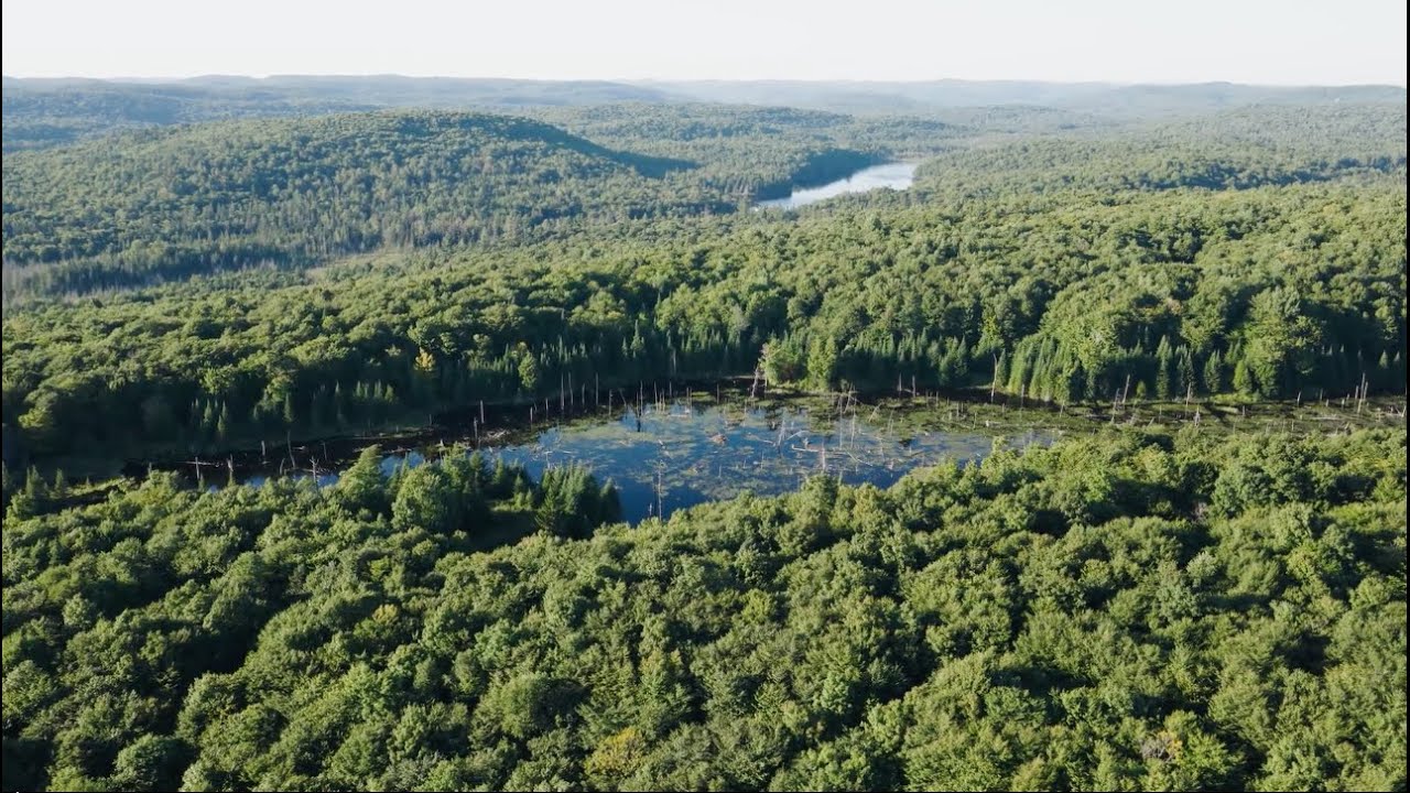 Le projet ACSQ : un levier pour la conservation des milieux humides