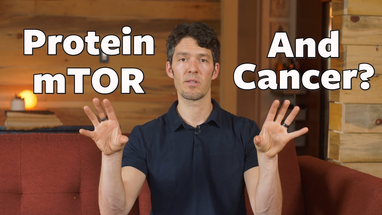 mTOR, Protein  🥩& Cancer: new science MIT's David Sabatini