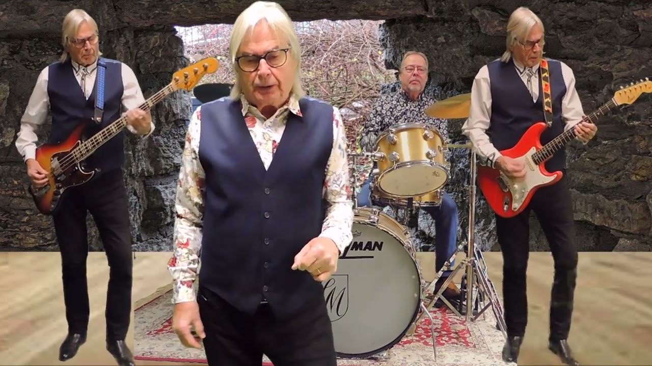 Buzz the jerk   cover by Ilkka Heikki & LPX