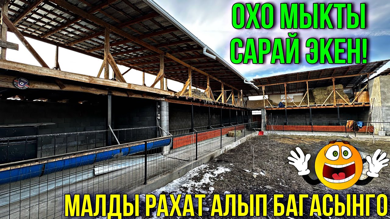САРАЙ ДЕП УШУНУ АЙТ. МЫНА СОНУН ПРОЕКТ 🤯 #байтв