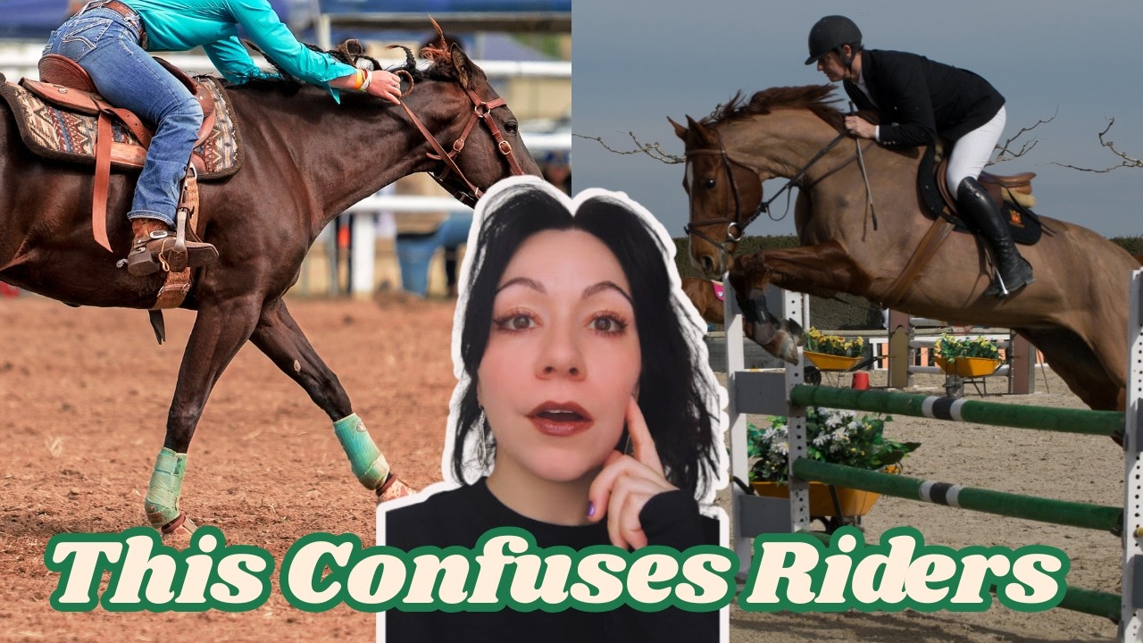 You Don't Know THIS About Horse Shows.