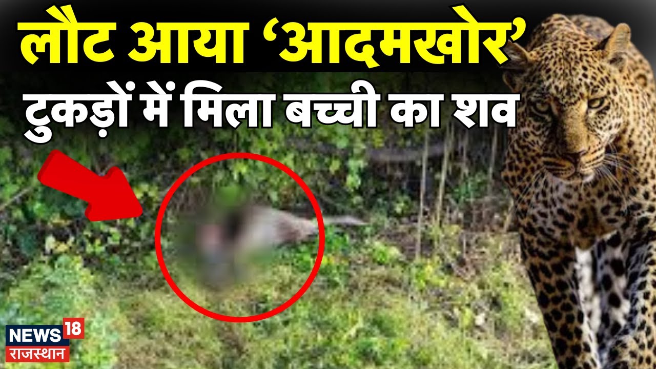Udaipur Panther Attack News : Udaipur में फिर लौट आया आदमखोर तेंदुआ | Rajasthan News | Top News