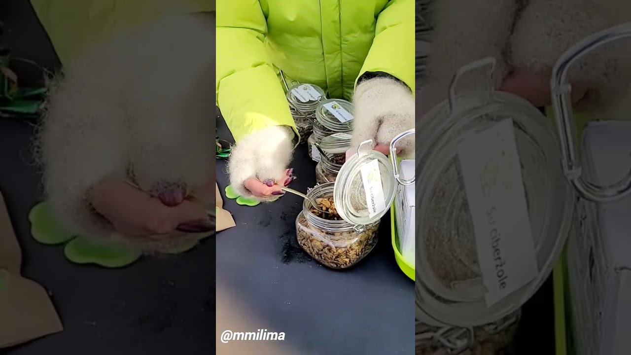 Ярмарка.САРТАЙ.СКАЧКИ.