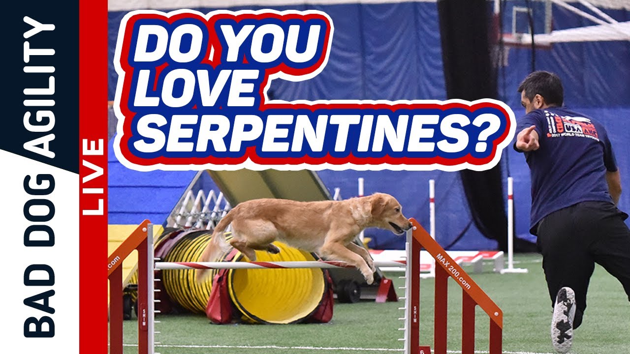Do You Love Serpentines?