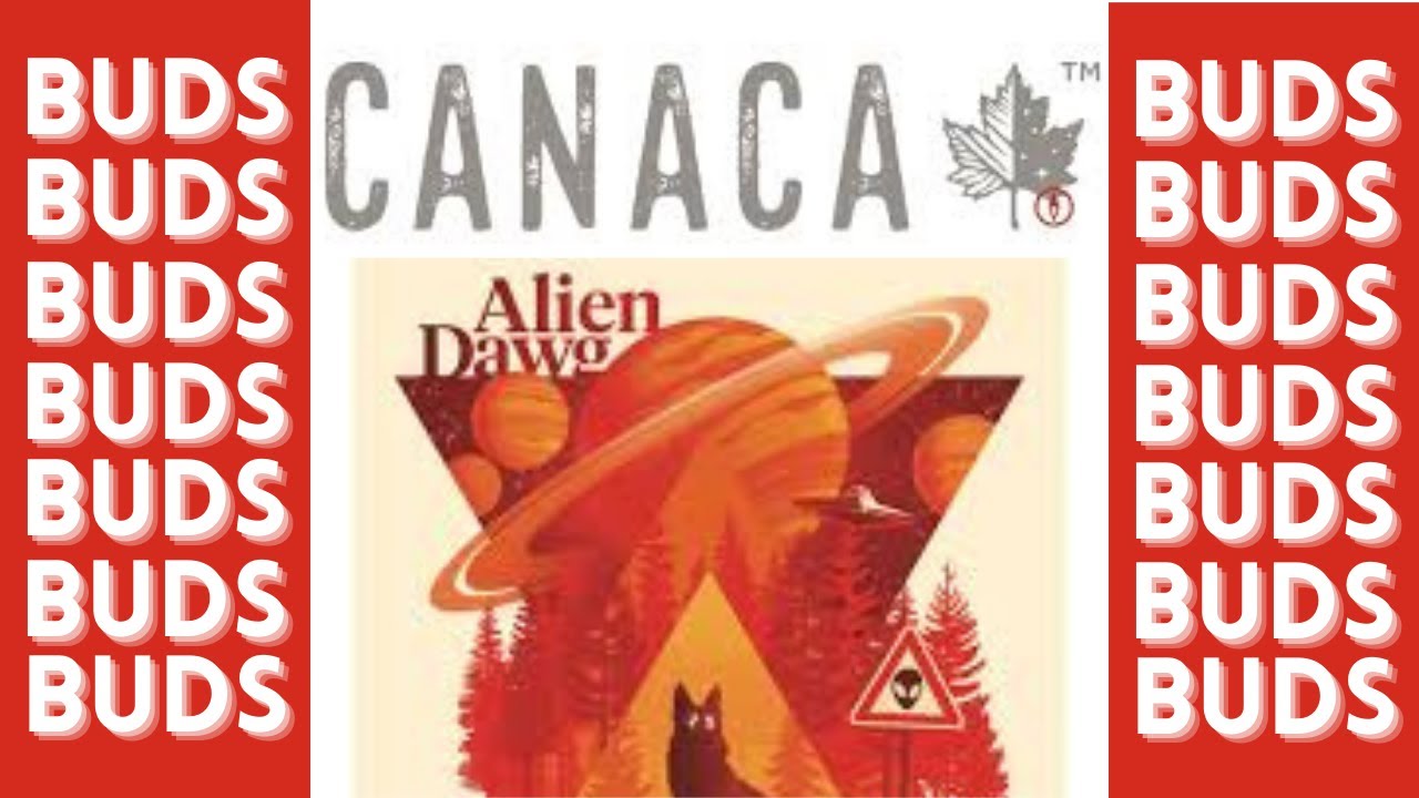 Canaca Alien Dawg  Buds #Shorts